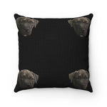 Atreyus Pillow