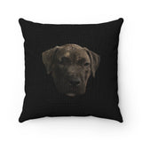 Atreyus Pillow