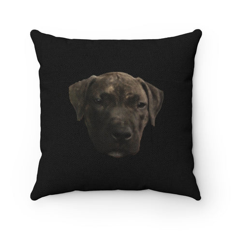Atreyus Pillow